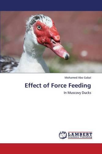 Effect of Force Feeding (Paperback)