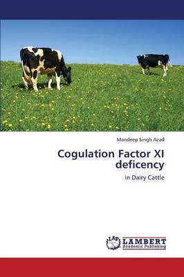 Cogulation Factor XI Deficency (Paperback)