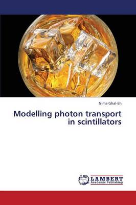 Modelling Photon Transport in Scintillators (Paperback)