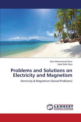Problems and Solutions on Electricity and Magnetism (Paperback)