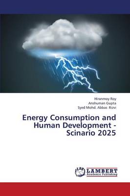 Energy Consumption and Human Development - Scinario 2025 (Paperback)