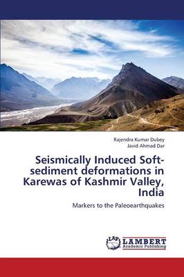 Seismically Induced Soft-Sediment Deformations in Karewas of Kashmir Valley, India (Paperback)