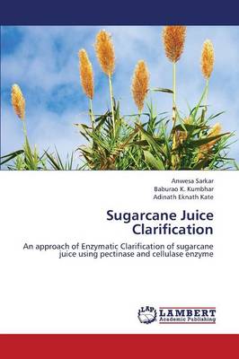 Sugarcane Juice Clarification (Paperback)