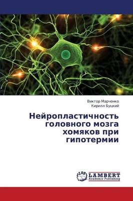 Neyroplastichnost' Golovnogo Mozga Khomyakov Pri Gipotermii (Paperback)