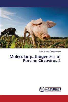 Molecular Pathogenesis of Porcine Circovirus 2 (Paperback)