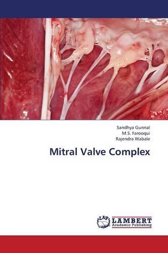 Mitral Valve Complex (Paperback)