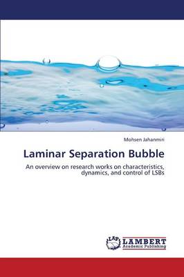 Laminar Separation Bubble (Paperback)