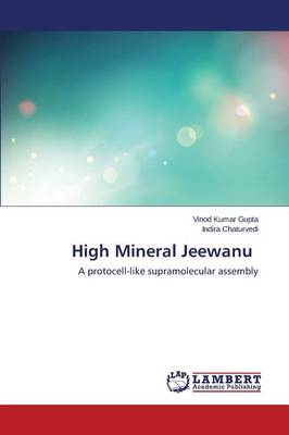 High Mineral Jeewanu (Paperback)