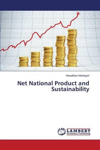 Net National Product and Sustainability (Paperback)