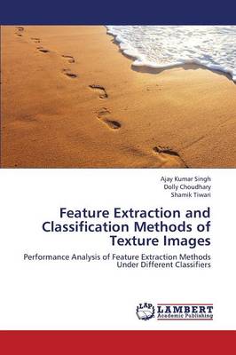Feature Extraction and Classification Methods of Texture Images (Paperback)