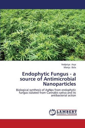 Endophytic Fungus - A Source of Antimicrobial Nanoparticles (Paperback)