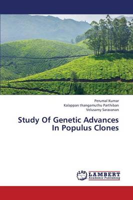 Study of Genetic Advances in Populus Clones (Paperback)