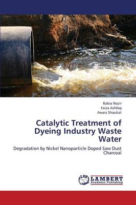 Catalytic Treatment of Dyeing Industry Waste Water (Paperback)