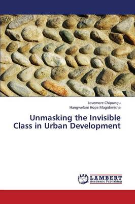 Unmasking the Invisible Class in Urban Development (Paperback)