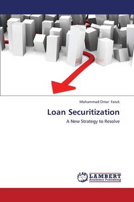 Loan Securitization (Paperback)