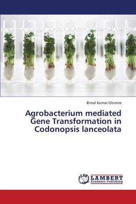 Agrobacterium Mediated Gene Transformation in Codonopsis Lanceolata (Paperback)