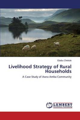 Livelihood Strategy of Rural Households (Paperback)