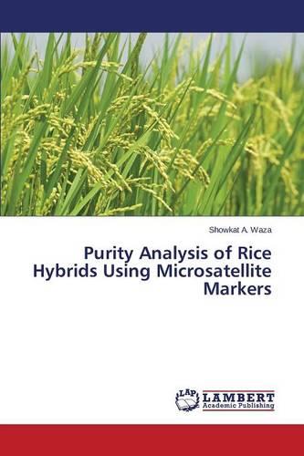 Purity Analysis of Rice Hybrids Using Microsatellite Markers (Paperback)