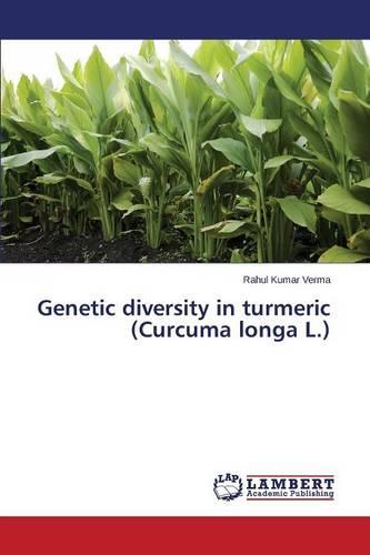 Genetic Diversity in Turmeric (Curcuma Longa L.) (Paperback)