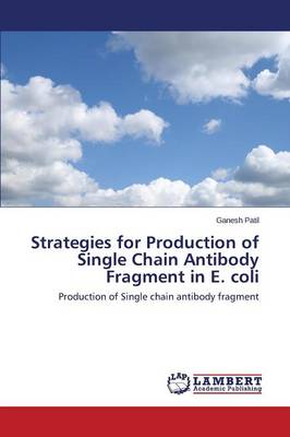 Strategies for Production of Single Chain Antibody Fragment in E. Coli (Paperback)