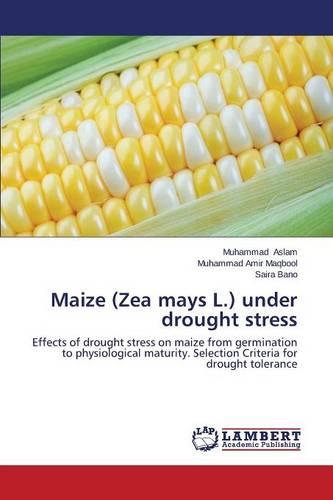 Maize (Zea Mays L.) Under Drought Stress (Paperback)