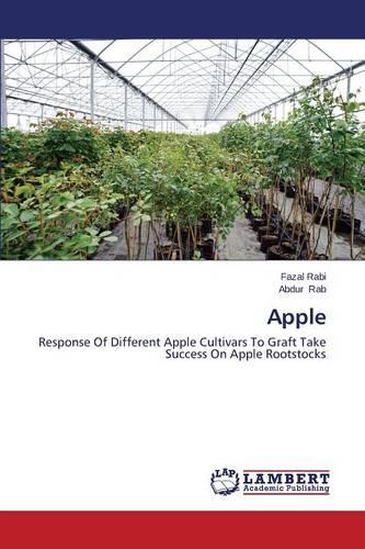 Apple (Paperback)