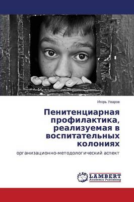 Penitentsiarnaya Profilaktika, Realizuemaya V Vospitatel'nykh Koloniyakh (Paperback)