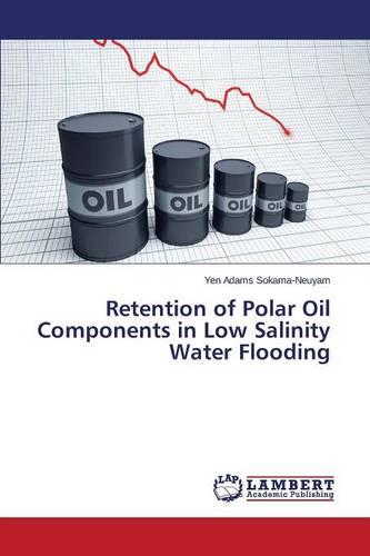 Retention of Polar Oil Components in Low Salinity Water Flooding (Paperback)