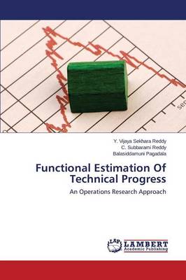 Functional Estimation of Technical Progress (Paperback)