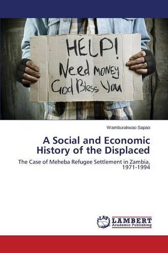 A Social and Economic History of the Displaced (Paperback)