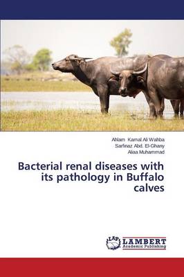 Bacterial Renal Diseases with Its Pathology in Buffalo Calves (Paperback)