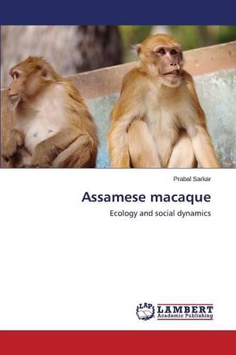 Assamese Macaque (Paperback)