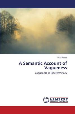 A Semantic Account of Vagueness (Paperback)