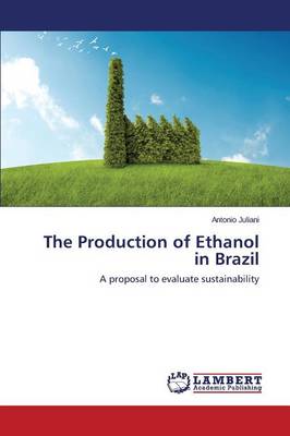 The Production of Ethanol in Brazil (Paperback)