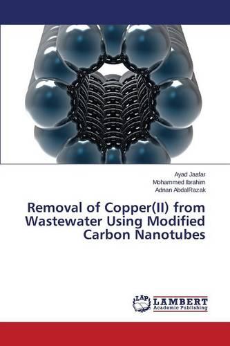 Removal of Copper(ii) from Wastewater Using Modified Carbon Nanotubes (Paperback)