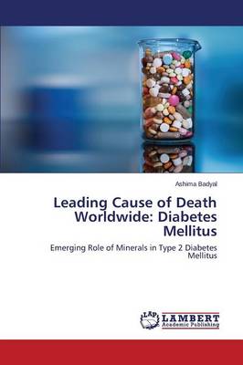 Leading Cause of Death Worldwide: Diabetes Mellitus (Paperback)