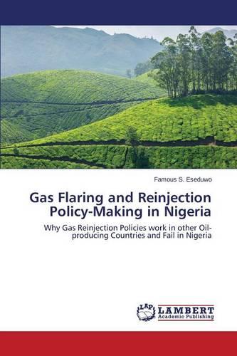 Gas Flaring and Reinjection Policy-Making in Nigeria (Paperback)