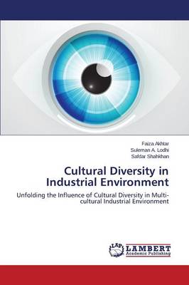 Cultural Diversity in Industrial Environment (Paperback)