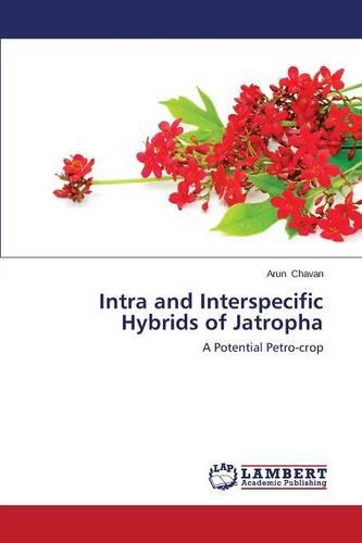 Intra and Interspecific Hybrids of Jatropha (Paperback)