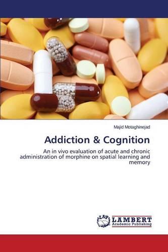 Addiction & Cognition (Paperback)