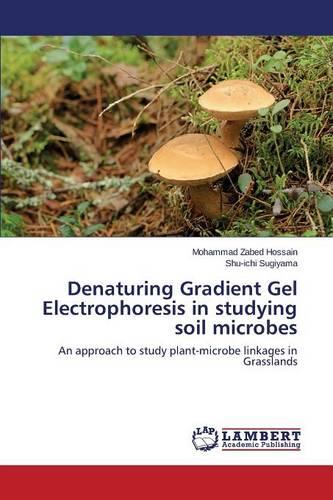 Denaturing Gradient Gel Electrophoresis in Studying Soil Microbes (Paperback)
