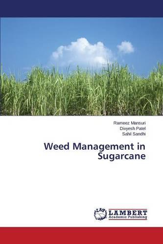 Weed Management in Sugarcane (Paperback)