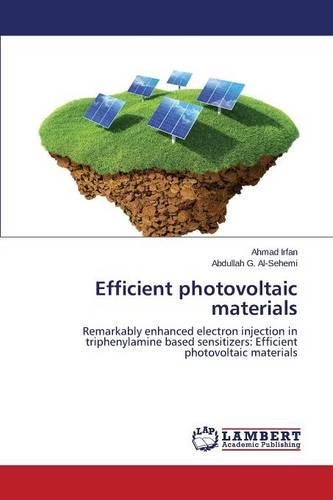 Efficient Photovoltaic Materials (Paperback)