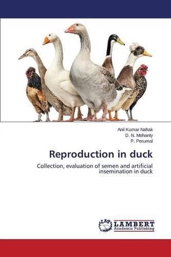 Reproduction in Duck (Paperback)