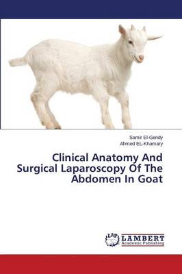 Clinical Anatomy and Surgical Laparoscopy of the Abdomen in Goat (Paperback)