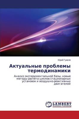 Aktual'nye Problemy Termodinamiki (Paperback)