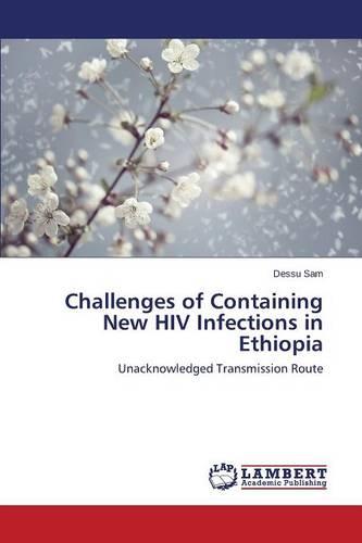 Challenges of Containing New HIV Infections in Ethiopia (Paperback)