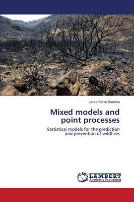 Mixed Models and Point Processes (Paperback)