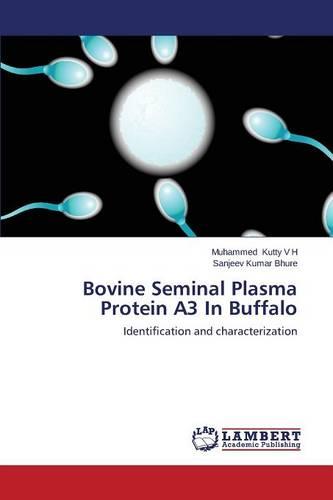 Bovine Seminal Plasma Protein A3 in Buffalo (Paperback)