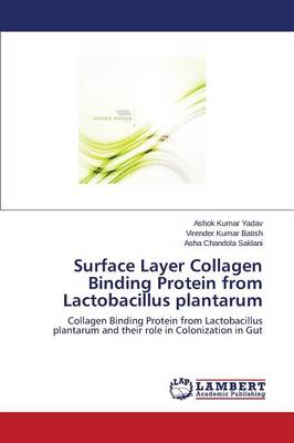 Surface Layer Collagen Binding Protein from Lactobacillus Plantarum (Paperback)